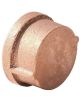 1/4 LF STD BRASS CAP